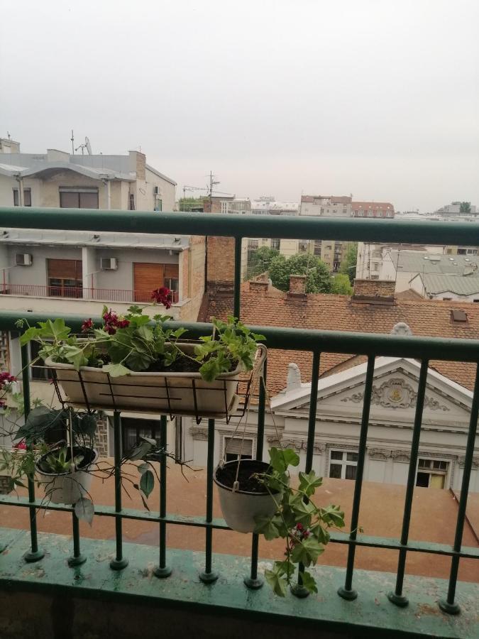 Apartman Centar Beograd Екстер'єр фото